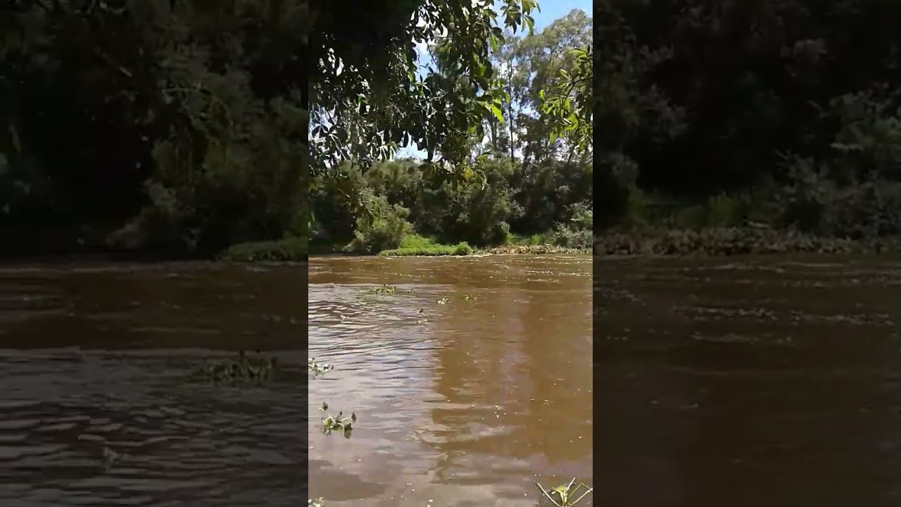 Vídeo: Apreciando o Rio Iapó em Castro